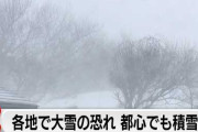 楽韓さん、本日の動向 - 週末は雪。なので期日前投票に行こう