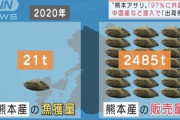 【悲報】熊本県産アサリ、漁獲量に対して販売量が100倍もあった