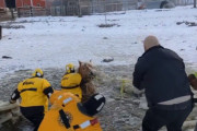 氷の張った池に落ちてしまい身動きが取れなくなった馬を救助隊が救う！(アメリカ)