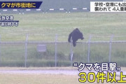 【悲報】クマ、冬眠に向け市街地に集結！！人間狩りへ