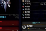 【MHWI】シルソル装備のスキル構成どうしてこうなった・・・【アイスボーン】
