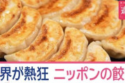 【悲報】世界の外国人さん、餃子を日本料理として認知してしまう