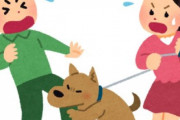 買い物帰りに若い女が飼ってる犬に噛まれた結果ｗｗｗ