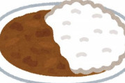 松屋初心者「カレーやろ」中級者「カレーやろ」