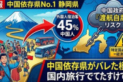 【速報】中国依存県がバレた模様「No1は静岡県、外国人宿泊客45%占める」国内旅行でたすけてよ！