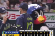 交流戦ヤクルト14勝4敗