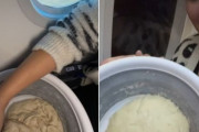飛行機の中でパン生地をこね、発酵させてみた。をやっちゃったインフルエンサーに非難殺到