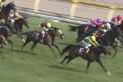 【競馬】エイシンスパルタン銀行、倒産