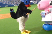 ヤクルトって強いのか弱いのかようわからん謎の球団