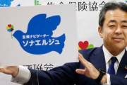 【悲報】「生保レディー」改め「生保ナビゲーター ソナエルジュ」にｗｗｗｗｗｗｗｗ