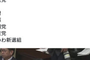 【パヨク悲報】国旗損壊罪法案が参・内閣委で可決。今の国会で成立見通し。パヨさん駆け込み損壊か