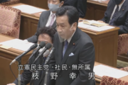 【ん？】立憲・枝野前代表「プーチン大統領も形式的には選挙で選ばれている」「民主主義は多数決とイコールではない。バランスを取るのが立憲主義」