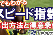 スピード指数使って予想してる人に聞きたい