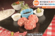 【画像】これが・・・フリーレン風ハンバーグ