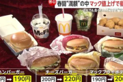 【外食】そろそろ値上げの限界が見えてきた？マクドナルドに「客離れ」の可能性