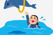 水族館「イルカショーで水しぶきがかかるのがウリです！！」 ← これ