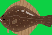 【魚】養殖に革命！「緑LEDライト」でヒラメを育てたら → 食欲増進、餌をよく食べ大きく育つ　(動画あり)