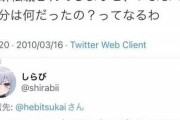 【悲報】有名絵師「割れ批判しとったのに俺が同人誌を違法DLしてたのバレてもうた…せや！」