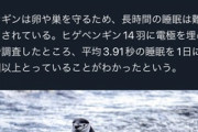【警告】睡眠、とにかく『量』が必要だった…