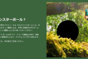 【ポケモンGO】新しいモンボ「GOサファリボール」が登場！