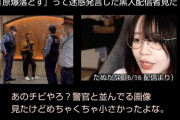 【悲報】黒人迷惑YouTuber、たぬかなのチビ煽りにブチ切れ。”絶対に許さない”と宣戦布告