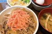 【画像】すき家の500円ランチ、良すぎる