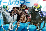 第71回 神戸新聞杯 (GⅡ)&第69回 産経賞オールカマー (GⅡ)
