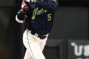 ヤクルト川端慎吾の打率.455wwwwww