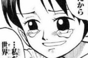 ワンピースの変な女「ゾロは男の子だからいいよね 私は女だからどーたらこーたら」←これ