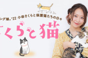 小田さくらが保護猫たちとの日々を語るエッセイ「さくらと猫」の連載スタートｷﾀ━━━━(ﾟ∀ﾟ)━━━━!!