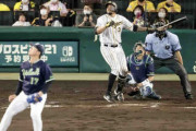 リクエスト弾！阪神マルテいったん三塁打判定も覆り値千金ポール直撃弾に
