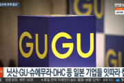 日本企業の廃業が加速…不買運動を成功させた韓国、今後の課題は？＝韓国ネット「外交的には親日で」