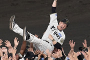 阪神、今年優勝で『4年で3回のV』を達成する模様