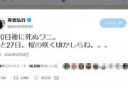 【悲報】有吉、ワニをツイッターで絶賛しラジオでも擁護