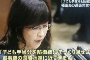 【画像】稲田朋美「子供手当を防衛費に回せば軍事費の国際水準に追いつきます」
