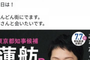 【悲報】蓮舫さん、さすがに可哀そうになってくる