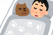 【悲報】在宅ワイ、寝てたのがバレて大目玉ｗｗｗｗｗｗｗ