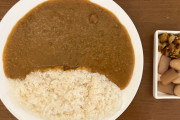 【衝撃】韓国人「日本と韓国のカレー、この分け方で合ってる？」
