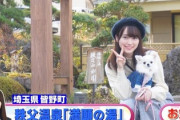 【櫻坂46】スタジオがざわつくw 守屋麗奈、可愛すぎる3年前のプライベート旅行写真を公開！【ラヴィット】