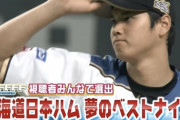 【FFFFF】北海道日本ハム夢のベストナイン(前編)