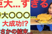 北川綾巴「特大ライスバーガーを作ったら衝撃の結末！？まさかの本家越え！？」