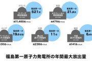 【悲報】国民「なんで福島以外は良いの？」社民党「普通に考えて、福島が放出するものと、他の国が放出するものは違う」