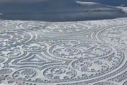 【画像】イギリスの雪原に謎の紋章が複数現れるｗｗｗｗｗｗｗｗｗｗ