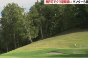 ゴルフ場でヒグマ駆除したハンターらが書類送検　シカ駆除の免許あるも、クマの免許なく発砲