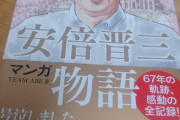 お前ら安倍晋三安倍晋三言ってるけど安倍晋三グッズの一つや二つ持ってるのか？持ってないだろにわかども