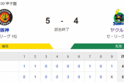 【試合結果】ヤクルト4-5阪神　サイスニード5回途中4失点、武岡塩見にHRも敗戦