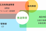 軽度知的障害や軽度発達障害かもしれない、グレーの自覚ある人