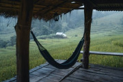 なんかさ、昔の人間みたいに普通に生きたくないか？