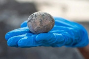 「1000年前の鶏卵」が人の便の中から見つかるｗｗｗｗｗｗｗ（画像あり）