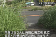 茨城県河内町　7歳女児死亡、背丈ほど伸びた草むらから車道に飛び出てバスに轢かれる　運転手逮捕  [7/21]